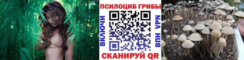 Псилоцибиновые грибы мицелий Стрежевой