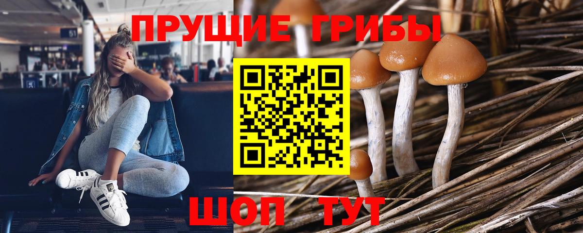 Псилоцибиновые грибы ЛСД Стрежевой